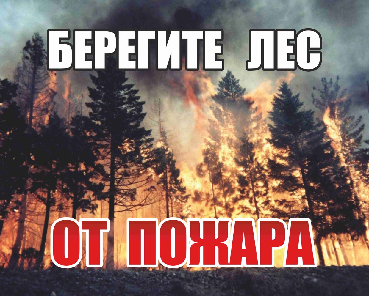 Брошюра Лесные пожары.