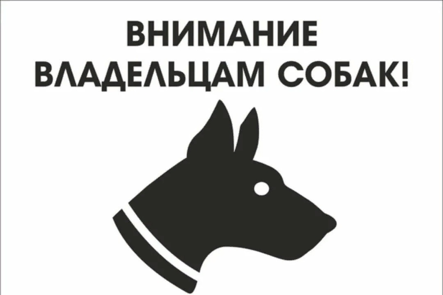 Памятка владельцам собак.