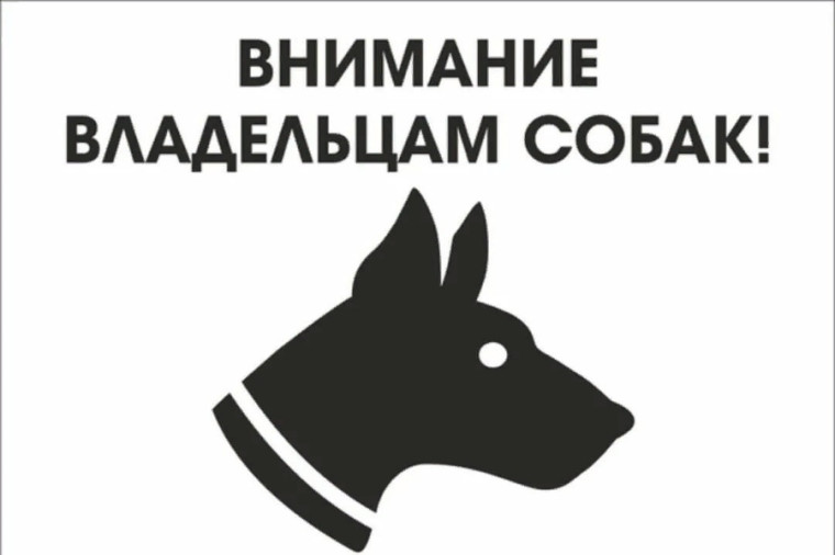 Памятка владельцам собак. Памятка владельцам собак.
